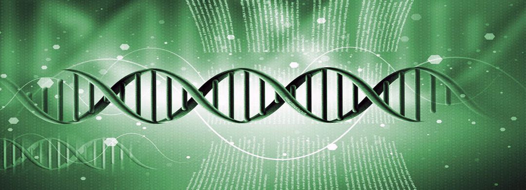 Genetically engineered crops: discord in the public square