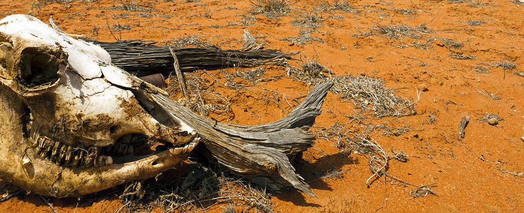 Extinction is forever