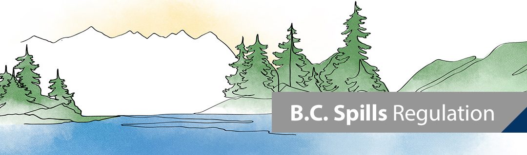 Do you have thoughts on the way B.C. deals with environmental spill emergencies?