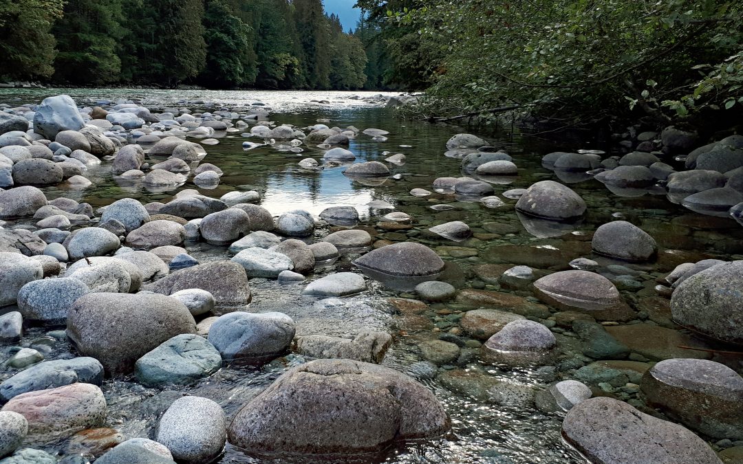 Restored, reconciled, resilient…