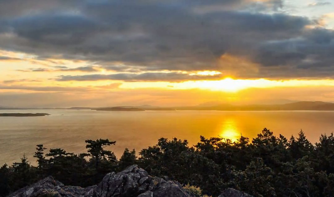 In Memoriam  |  Peggy Louise Olive