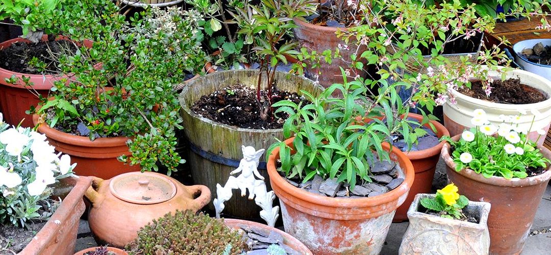 Going green is all about what you gain, not what you give up