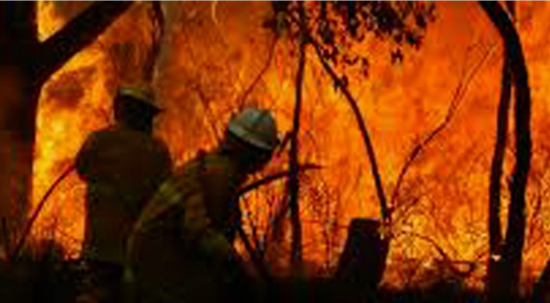 Why the idea that the world is in terminal decline is so dangerous