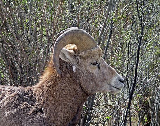 Join Suzuki Elders Team Join Our Team