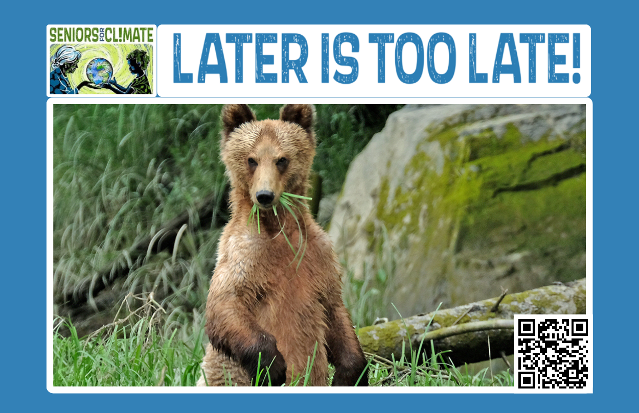 Later is Too Late - Bear Postcard